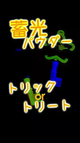 わん🐶のTikTok投稿
