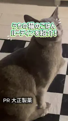 桜井はなこのTikTok投稿