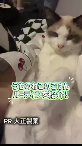 桜井はなこのTikTok投稿