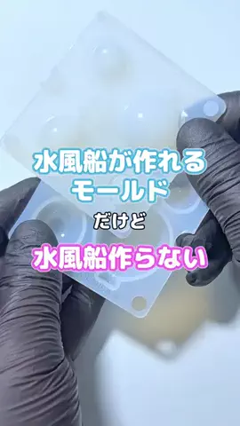わん🐶のTikTok投稿