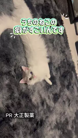 桜井はなこのTikTok投稿