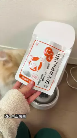 桜井はなこのTikTok投稿