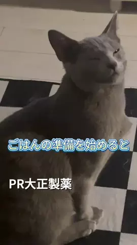 桜井はなこのTikTok投稿