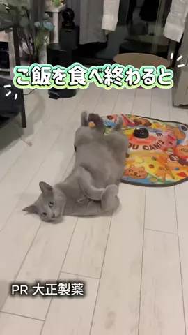 桜井はなこのTikTok投稿