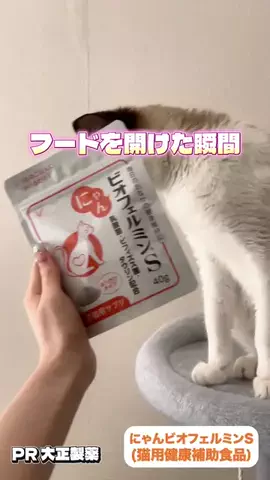 桜井はなこのTikTok投稿