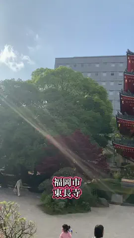 ＪＪのおでかけのTikTok投稿