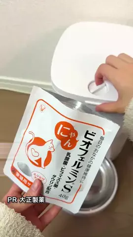 桜井はなこのTikTok投稿