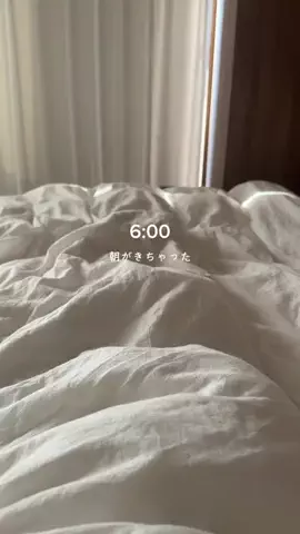 ぷに | 暮らしと旅のTikTok投稿
