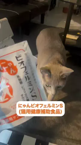 桜井はなこのTikTok PR投稿：オーナーレビュー。 結論：使いやすいのはガチ。 ご飯に…
