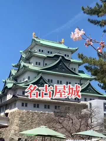 ＪＪのおでかけのTikTok投稿