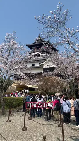 ＪＪのおでかけのTikTok投稿