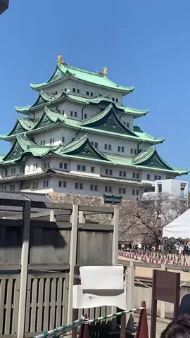 ＪＪのおでかけのTikTok投稿