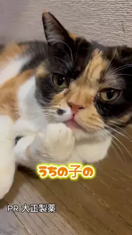 桜井はなこのTikTok投稿