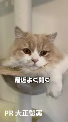 桜井はなこのTikTok投稿