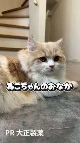 桜井はなこのTikTok投稿
