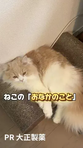 桜井はなこのTikTok投稿