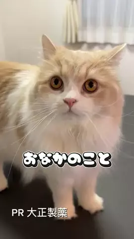 桜井はなこのTikTok投稿