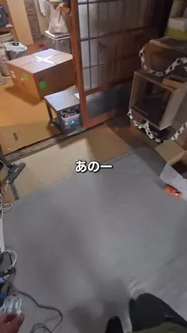 Tom⚓️明治元年の古民家DIYerのTikTok投稿