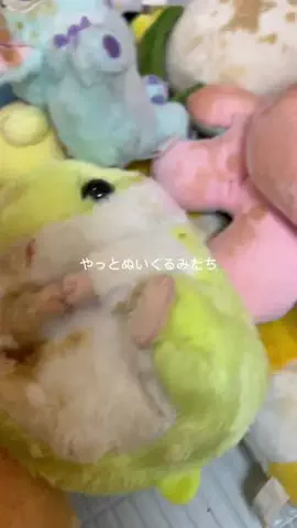ニナ@美容オタク💅のTikTok投稿
