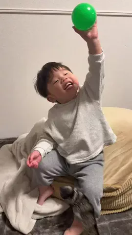 くやまん家のTikTok投稿