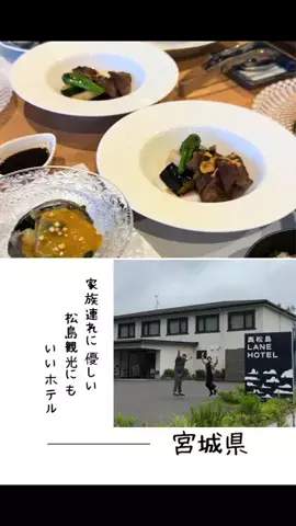肉好き団長夫婦のTikTok投稿