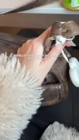 芋山芋子のTikTok投稿