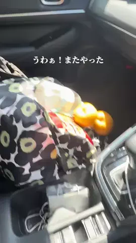 さかこの流行りモノ検証記録のTikTok投稿