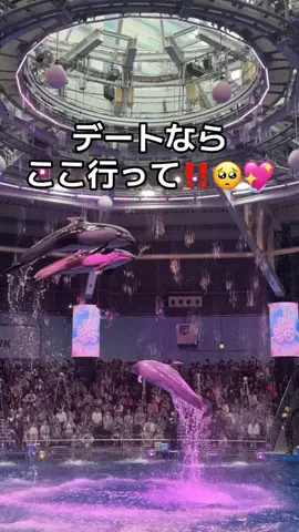 フォロバのTikTok投稿