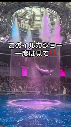 フォロバのTikTok投稿