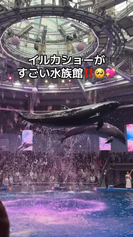 フォロバのTikTok投稿