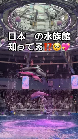 フォロバのTikTok投稿