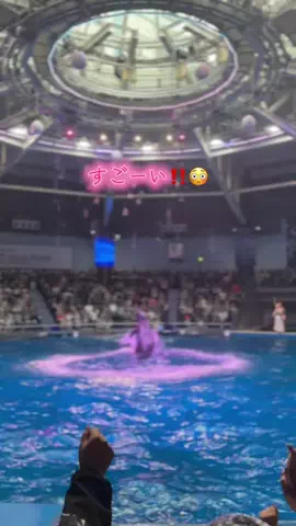 フォロバのTikTok投稿