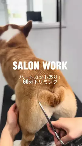 𝑺𝑨𝑲𝑰 ✂︎のTikTok投稿