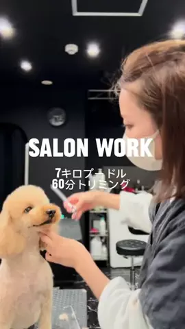𝑺𝑨𝑲𝑰 ✂︎のTikTok投稿