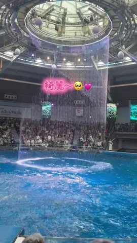 フォロバのTikTok投稿