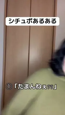 𝑻𝒓𝒆𝒂𝒔𝒖𝒓𝒆Ʊ ೬ ιյゴ೬博士のTikTok投稿