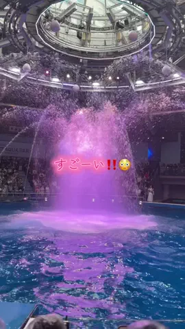 フォロバのTikTok投稿