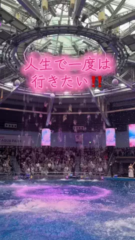 フォロバのTikTok投稿