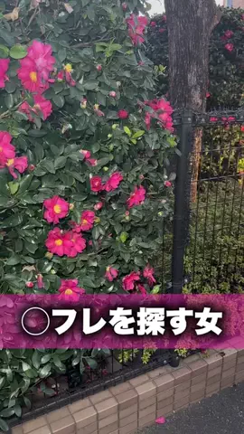 user72363406094のTikTok投稿