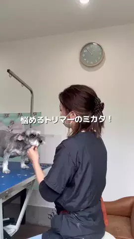𝑺𝑨𝑲𝑰 ✂︎のTikTok投稿