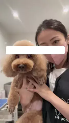 𝑺𝑨𝑲𝑰 ✂︎のTikTok投稿