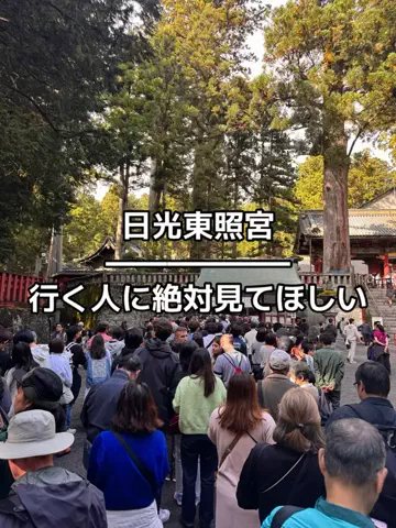 37歳おっさん旅垢のTikTok投稿
