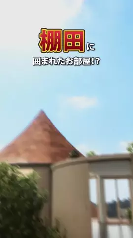 ないけんぼーいずのTikTok投稿