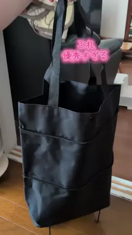 ワンだふるらいふ🐾飼い主妻のTikTok投稿
