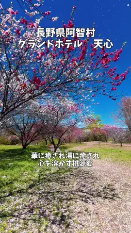 ポロ_身近なお出かけスポット紹介のTikTok投稿
