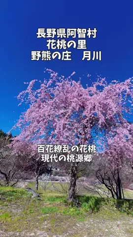 ポロ_身近なお出かけスポット紹介のTikTok投稿