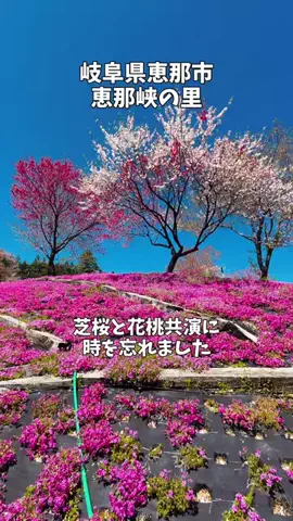 ポロ_身近なお出かけスポット紹介のTikTok投稿