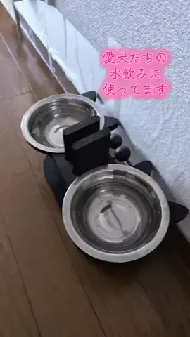 ワンだふるらいふ🐾飼い主妻のTikTok投稿