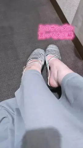 ワンだふるらいふ🐾飼い主妻のTikTok投稿