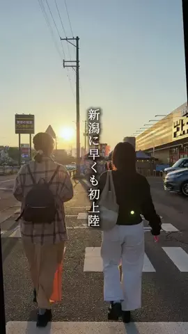 がたうぉーかー【新潟グルメ/スポット】のTikTok投稿
